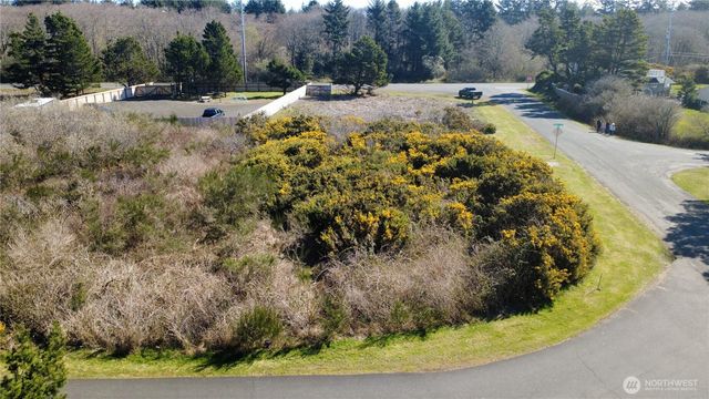 1 Francis Seamore Lane, Grayland, WA 98547