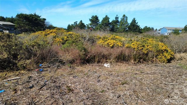 1 Francis Seamore Lane, Grayland, WA 98547