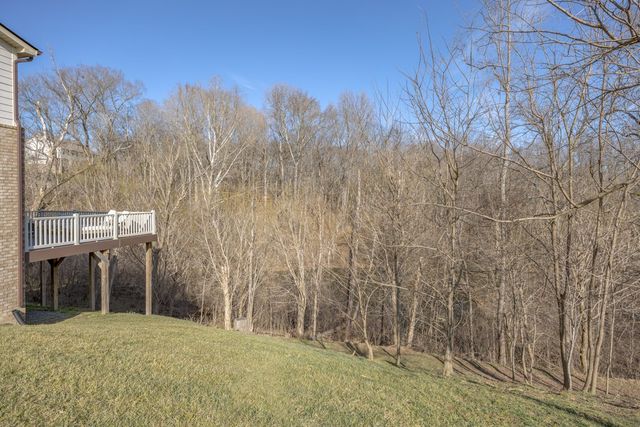 5012 Great Falls Ct, College Grove, TN 37046