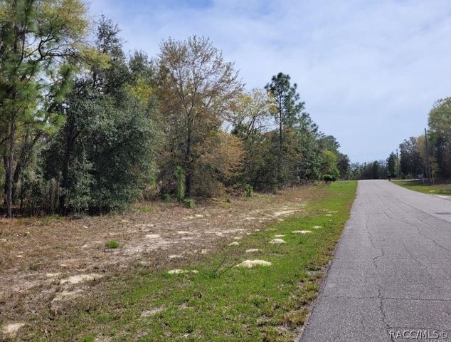 6686 N Bedstrow Boulevard, Dunnellon, FL 34434