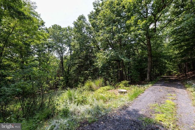 44 WILKINS LN, Maurertown, VA 22644