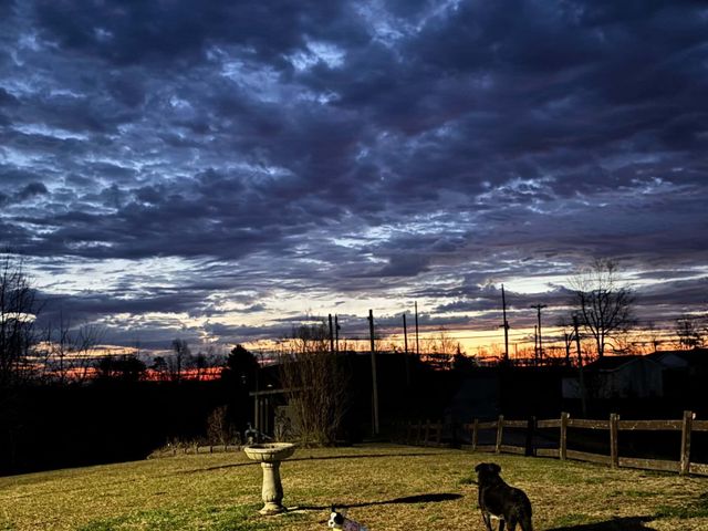 4590 County Road 1002, West Liberty, KY 41472