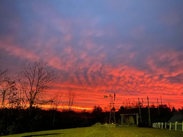 4590 County Road 1002, West Liberty, KY 41472