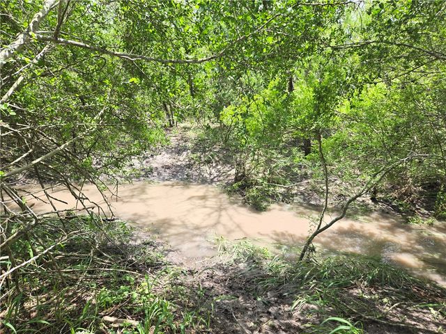 174 Pr Paloma, Sandia, TX 78383