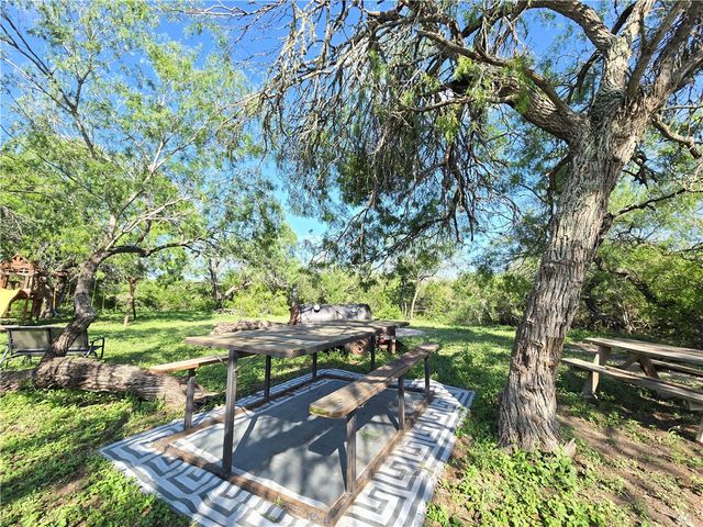 174 Pr Paloma, Sandia, TX 78383