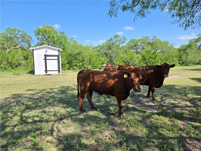 174 Pr Paloma, Sandia, TX 78383