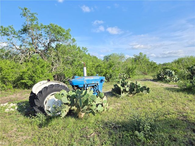 174 Pr Paloma, Sandia, TX 78383