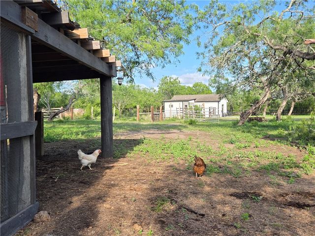 174 Pr Paloma, Sandia, TX 78383