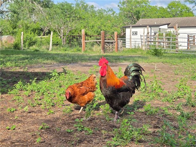 174 Pr Paloma, Sandia, TX 78383