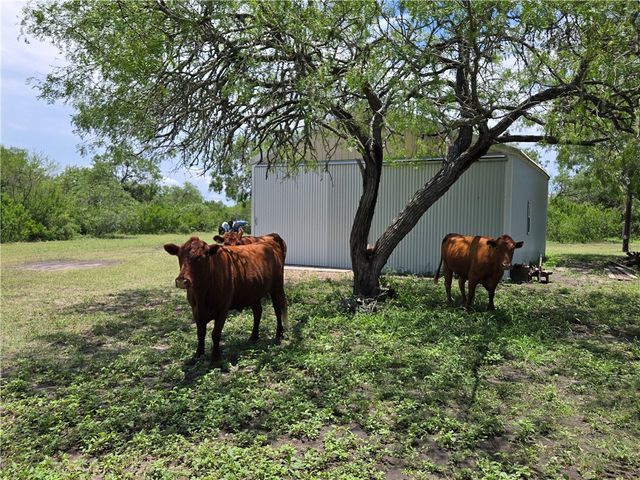 174 Pr Paloma, Sandia, TX 78383