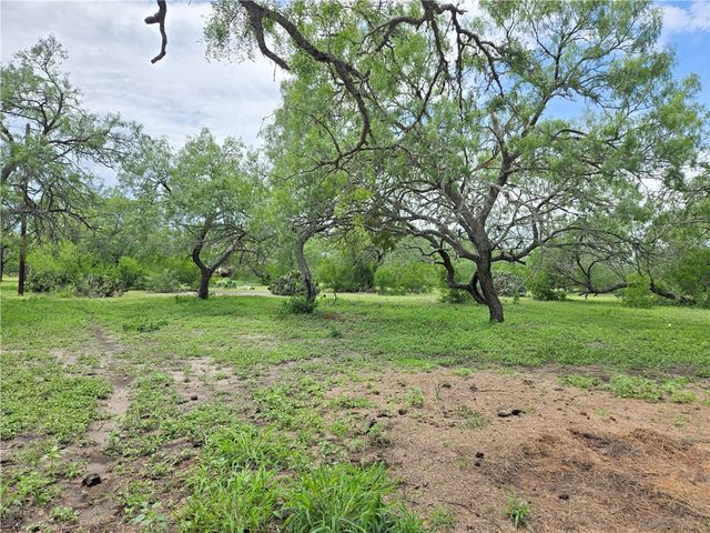174 Pr Paloma, Sandia, TX 78383