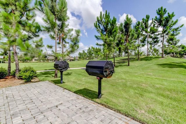 4023 BURDICK LOOP, Odessa, FL 33556