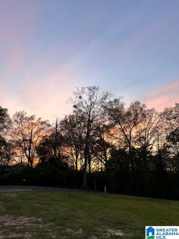 91 HIGHWAY 453, Chelsea, AL 35043