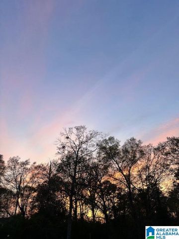 91 HIGHWAY 453, Chelsea, AL 35043