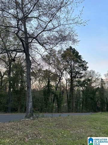 91 HIGHWAY 453, Chelsea, AL 35043