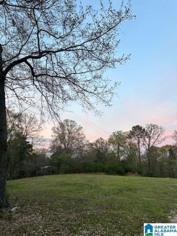 91 HIGHWAY 453, Chelsea, AL 35043