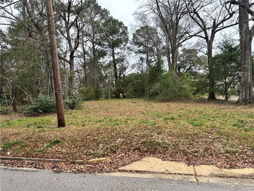 0 Howard Avenue, Citronelle, AL 36522 — photo 2