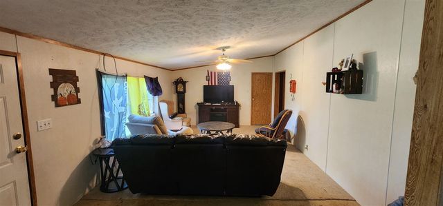 18350 Eisenhower Road, Morley, MI 49336