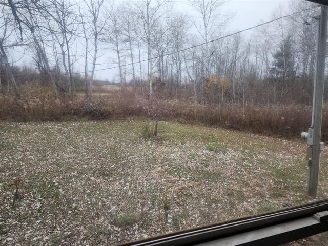 18350 Eisenhower Road, Morley, MI 49336