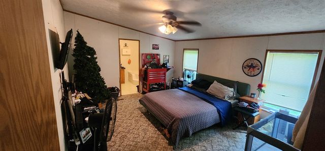 18350 Eisenhower Road, Morley, MI 49336