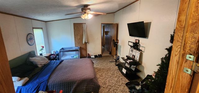 18350 Eisenhower Road, Morley, MI 49336