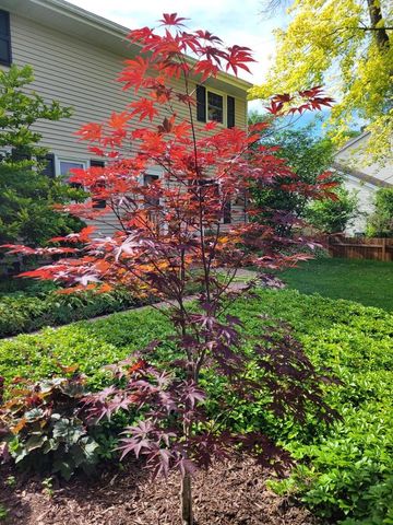 9292 N 60th STREET, Brown Deer, WI 53223