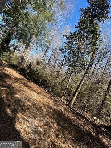 501 Brookdale Drive, Dublin, GA 31021