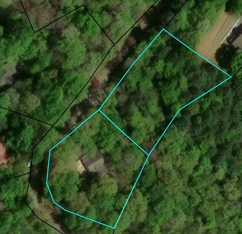 124 Cold Branch Lane, Hayesville, NC 28904