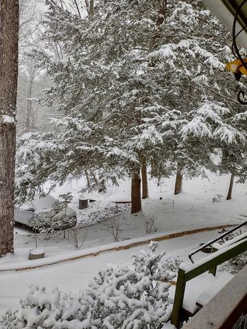 124 Cold Branch Lane, Hayesville, NC 28904