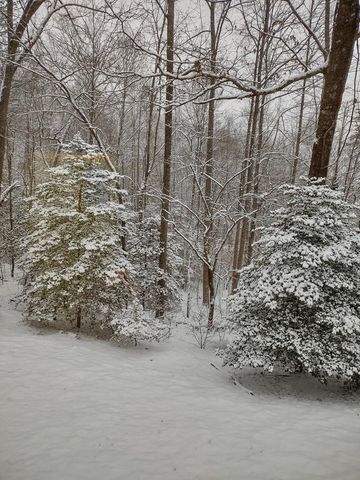 124 Cold Branch Lane, Hayesville, NC 28904