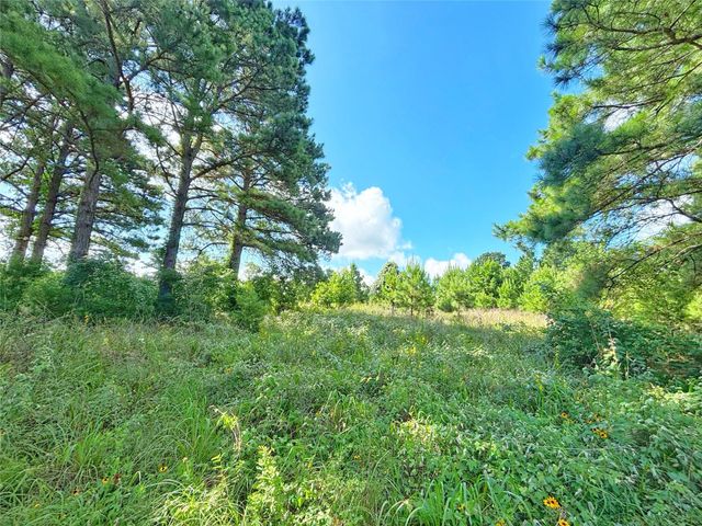 000 Fm 2926, Grapeland, TX 75844