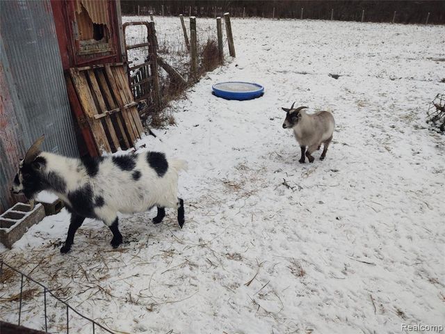 6143 Broadbridge Road, Cottrellville, MI 48039