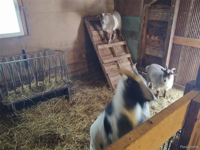 6143 Broadbridge Road, Cottrellville, MI 48039