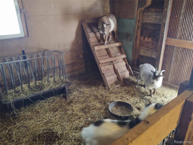 6143 Broadbridge Road, Cottrellville, MI 48039