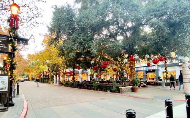 356 Santana Row 319, San Jose, CA 95128