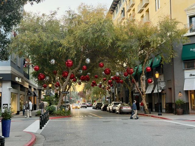 356 Santana Row 319, San Jose, CA 95128