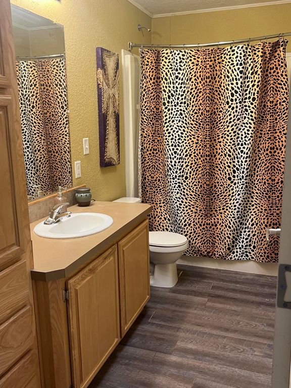 Image 39 of property listing at 18641 Kenley Road, Christoval, TX 76935