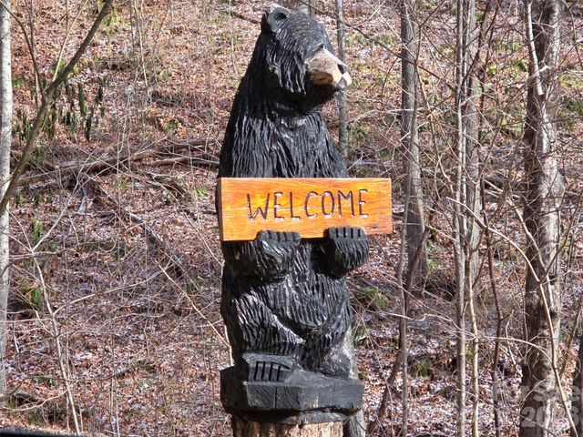 455 Mountain Watch Drive 16, Waynesville, NC 28785