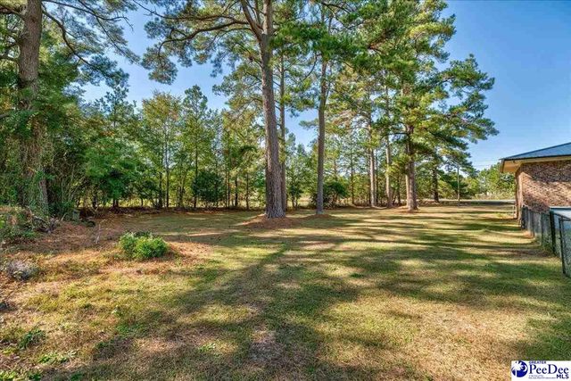 728 Wire Rd, Darlington, SC 29532