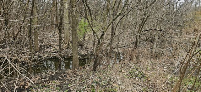 89 227th Street, Steger, IL 60475