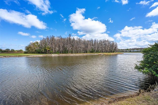 18713 PEPPER PIKE, Lutz, FL 33558