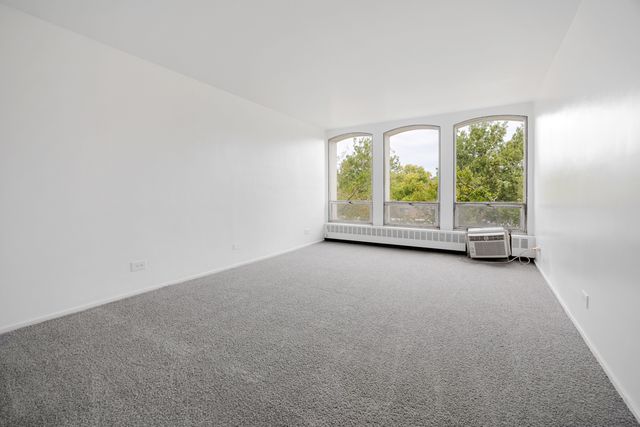1451 E 55th Street 317N, Chicago, IL 60615