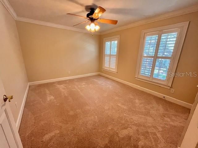 3408 W BAY VILLA AVENUE, Tampa, FL 33611