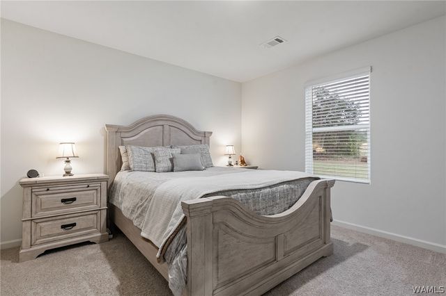 11344 Daisy Dr, Tuscaloosa, AL 35405