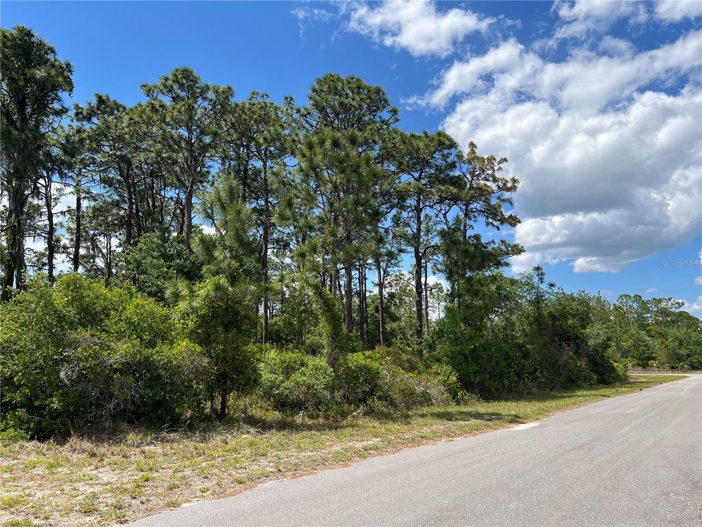 901 AZALEA DRIVE, Indian Lake Estates, FL 33855