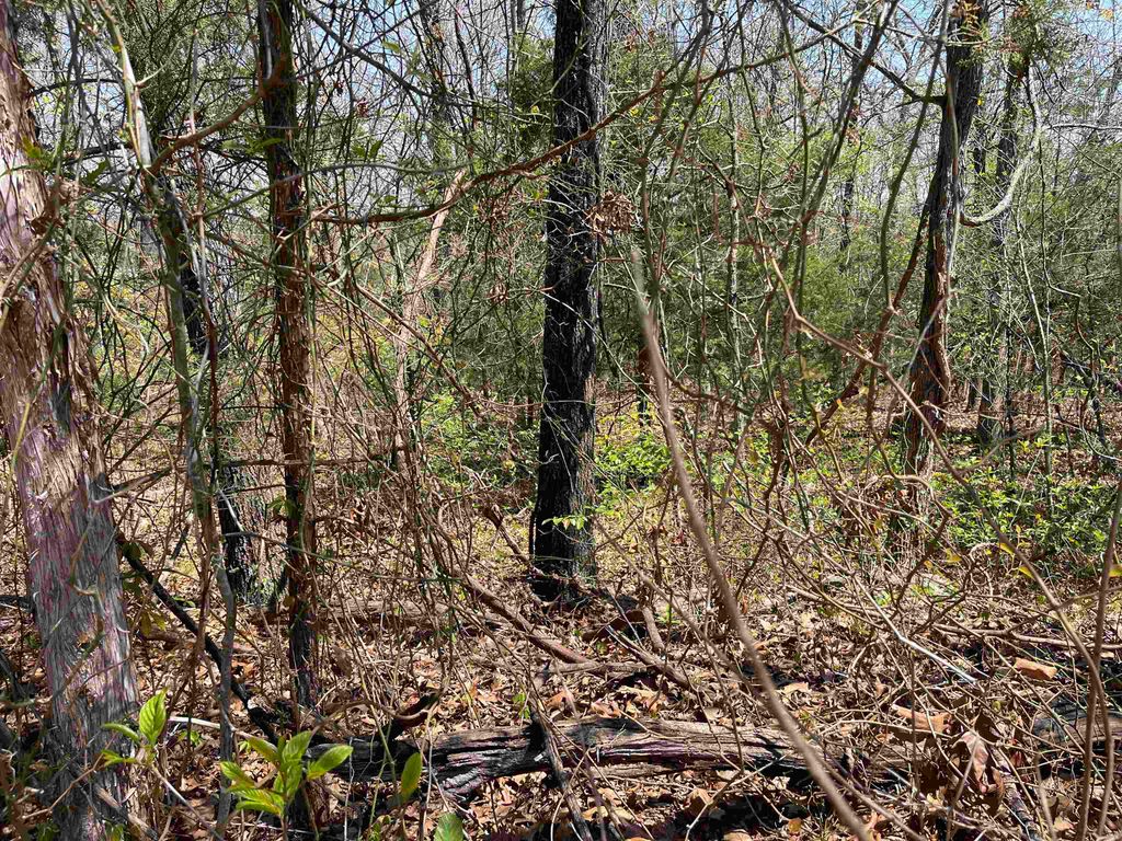 1305 E Indiana Avenue, Horseshoe Bend, AR 72512