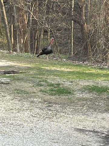 1809 250th, Denver, IA 50622