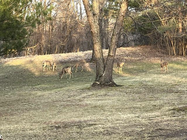 1809 250th, Denver, IA 50622