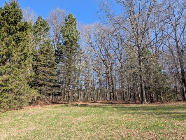 12500 11 Mile Road, Emmett Twp, MI 49033