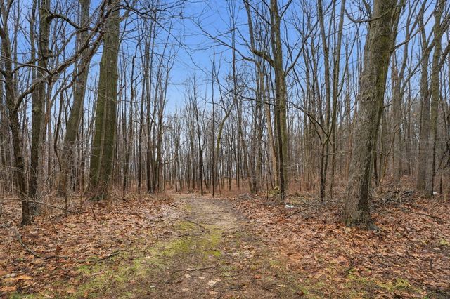 12500 11 Mile Road, Emmett Twp, MI 49033